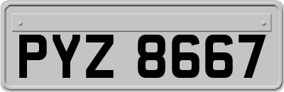 PYZ8667