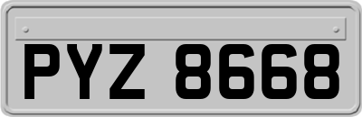 PYZ8668