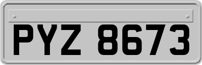 PYZ8673
