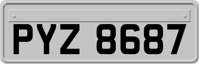 PYZ8687