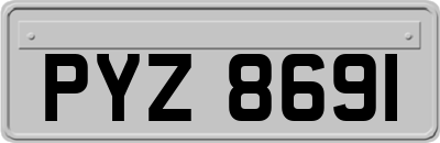 PYZ8691