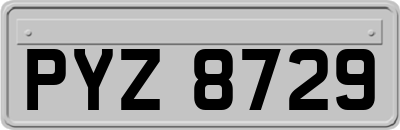 PYZ8729