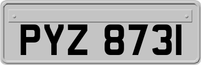 PYZ8731