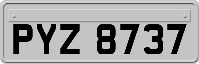 PYZ8737