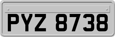 PYZ8738