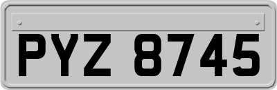 PYZ8745