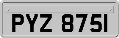 PYZ8751
