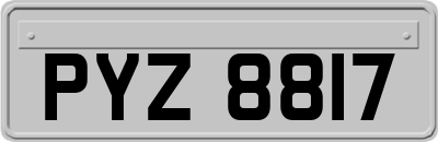 PYZ8817