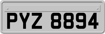 PYZ8894