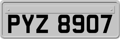 PYZ8907