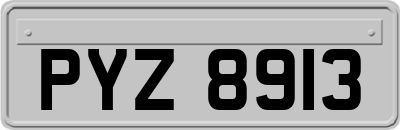 PYZ8913