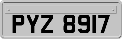 PYZ8917