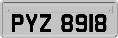 PYZ8918