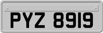 PYZ8919