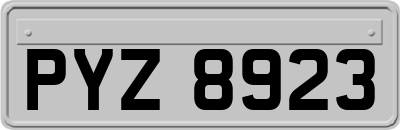 PYZ8923