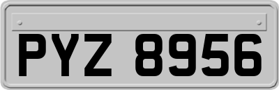 PYZ8956