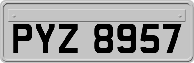 PYZ8957