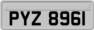 PYZ8961