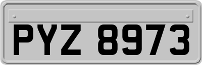 PYZ8973