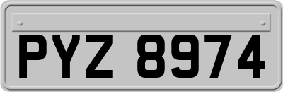 PYZ8974