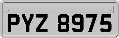PYZ8975