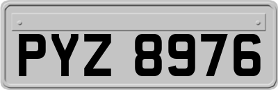 PYZ8976