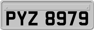 PYZ8979
