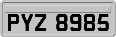 PYZ8985