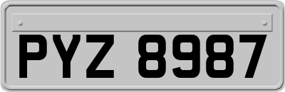 PYZ8987