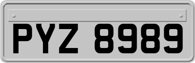 PYZ8989