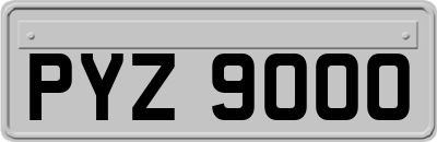 PYZ9000
