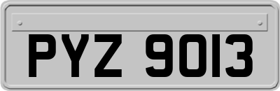 PYZ9013