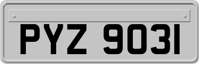 PYZ9031