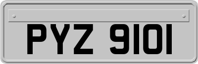 PYZ9101