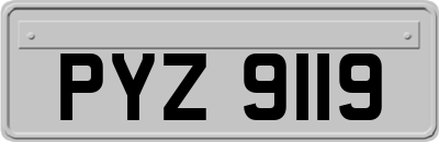 PYZ9119