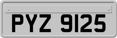 PYZ9125