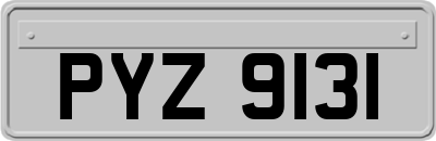 PYZ9131
