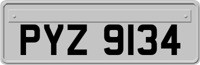 PYZ9134