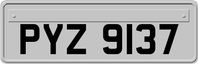 PYZ9137