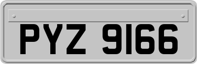 PYZ9166