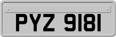 PYZ9181