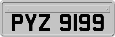 PYZ9199