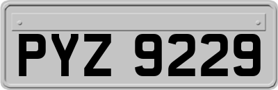 PYZ9229
