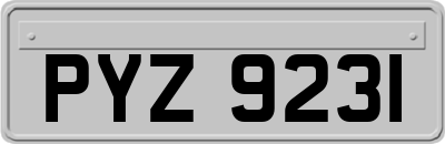 PYZ9231