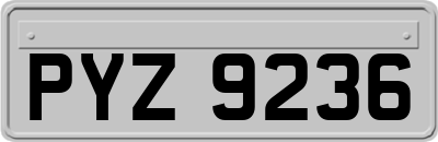PYZ9236