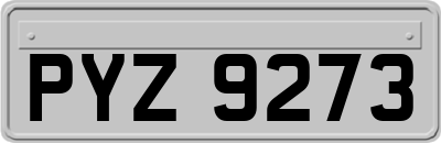 PYZ9273