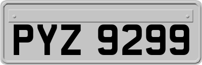 PYZ9299