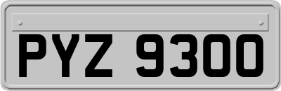 PYZ9300