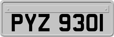 PYZ9301