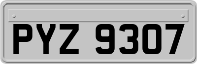 PYZ9307